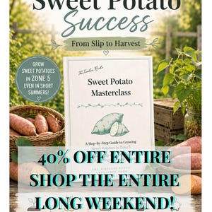 Sweet Potato Growing Guide | Zone 5 Cold Climate Planting, Slips & Harvest (Printable PDF)