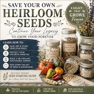 May include: A collection of glass jars filled with various heirloom seeds, including labeled jars for Tomato Cherokee Purple, Bush Beans, Zinnia, and Pepper. Fresh produce like a red tomato, green and yellow peppers, and a red chili are displayed.