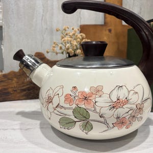 May include: Cream-colored vintage tea kettle with a floral design in pink, white, and green. The kettle has a dark brown handle and lid knob, and a silver spout. A decorative kitchen item.