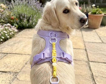Personalized dog name tag