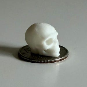 May include: A small, matte white skull figurine resting on top of a circular silver-colored coin. The skull features a smooth surface with defined eye sockets, a nasal cavity, and a jawline, presented in a side profile view on the metallic coin.