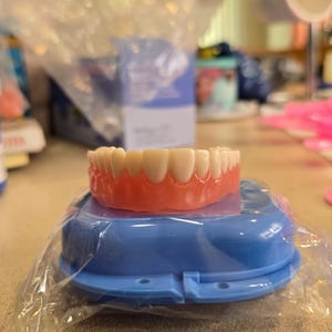 Può includere: Un set di dentiere superiori con denti bianchi e una base rosa, appoggiato su un astuccio blu. L'astuccio è parzialmente avvolto in plastica trasparente.