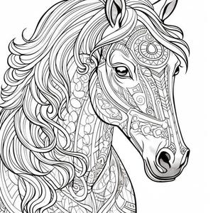 Può includere: Illustrazione in bianco e nero della testa di un cavallo con motivi dettagliati. La criniera, il viso e il collo del cavallo presentano disegni intricati, creando un effetto decorativo e artistico. Adatto per colorare o progetti artistici.
