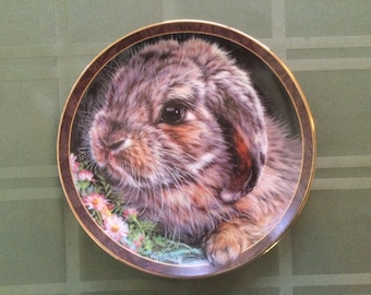 Bunny Tales Plate / Ms. Daisy / Bradford Exchange / Collector Plate