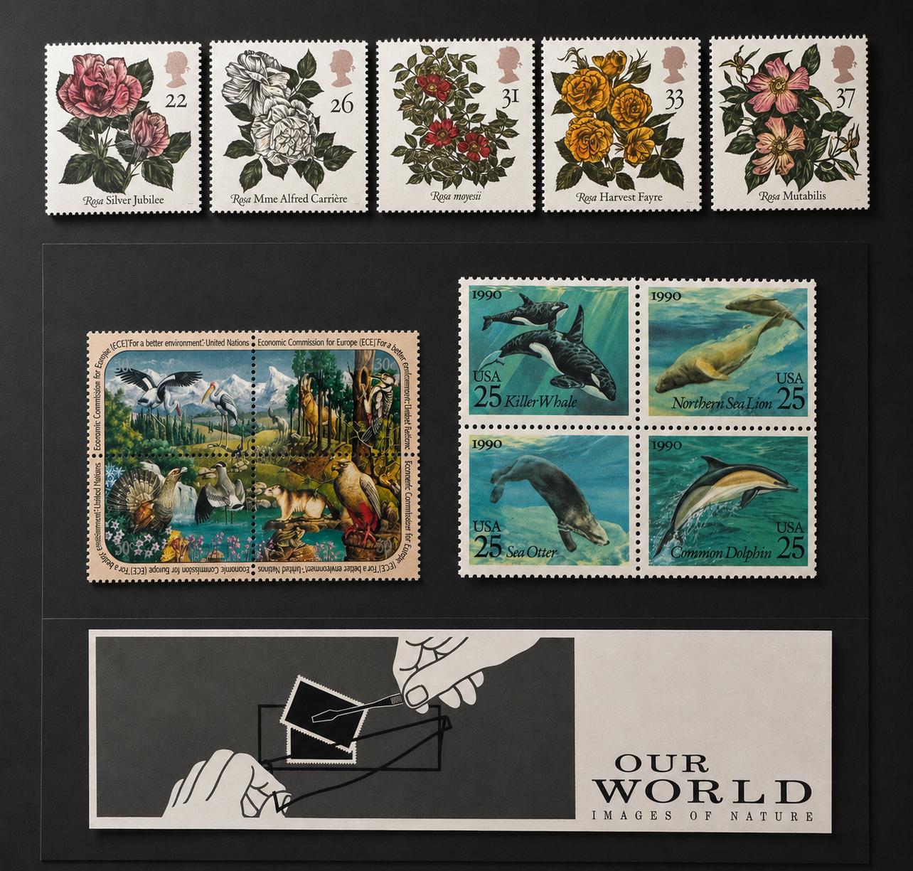 China Stamp Album - Etsy