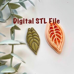 Può includere: Due oggetti a forma di foglia, uno verde oliva e uno color pesca, sono su una superficie bianca. La foglia verde oliva ha un design pieno, mentre la foglia color pesca è un contorno a strati. Il testo "Digital STL File" è in bordeaux.