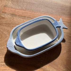 Può includere: Un set di due piatti in ceramica impilabili a forma di pesce. Il piatto più grande è ovale con un bordo azzurro e dettaglio della coda, mentre il piatto più piccolo e rettangolare presenta un bordo azzurro coordinato e una forma a testa e coda.