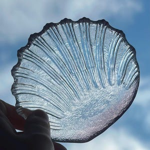 Könnte beinhalten: Eine durchsichtige Glasschale in Form einer Jakobsmuschel mit einer strukturierten Oberfläche, die erhabene, strahlenförmige Rippen aufweist. Das Glas ist durchscheinend und lässt Licht durch das detaillierte, fächerartige Muschelmuster.