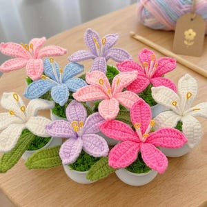 May include: A selection of handmade crochet flowers in shades of pink, purple, blue, and white. Each flower is potted in a small white container with green leaves, creating a colourful display. The flowers are arranged on a wooden surface, with a ball of yarn in the background.