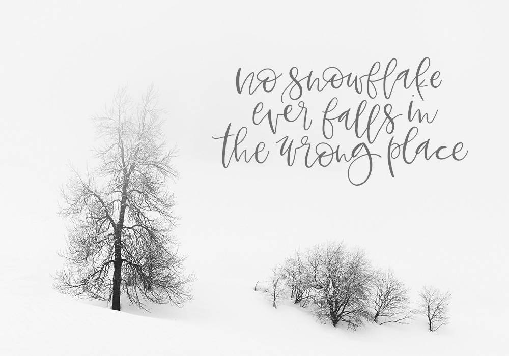 Winter Snow Skiing Overlays Hand-lettered Quotations - Etsy