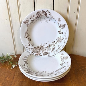 May include: A stack of four white ceramic plates with a brown floral design. The plates are arranged on a wooden surface, with the top plate slightly angled to show the design. The floral pattern is detailed and covers the rim of the plates.