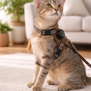 Puede incluir: Un gato atigrado marrón con un arnés y collar marrón con costuras reflectantes. El arnés cuenta con una hebilla de plástico negro y un pequeño dispositivo de seguimiento circular negro en el pecho, junto con una correa marrón a juego.