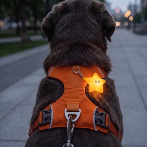 Glow Dark Star Dog Safety Light, LED Pet Night Walking Charm, Waterproof Harness Clip
