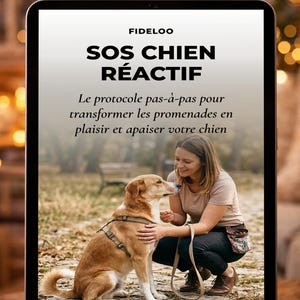 Peut inclure: Une tablette affiche le texte "SOS CHIEN RÉACTIF" et une femme interagissant avec un chien marron. Le texte en dessous indique "Le protocole pas-à-pas pour transformer les promenades en plaisir et apaiser votre chien."