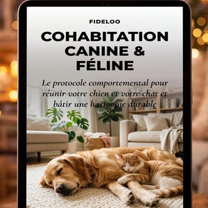 Peut inclure: Une tablette affiche le texte "COHABITATION CANINE & FÉLINE" au-dessus d'une image d'un chien golden retriever et d'un chat roux dormant ensemble. Le texte en dessous se lit "Le protocole comportemental pour réunir votre chien et votre chat et bâtir une harmonie durable."
