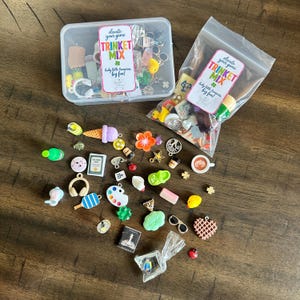 May include: A collection of miniature charms and trinkets including an ice cream cone, headphones, a paint palette, a waffle, and sunglasses. The items are packaged in a clear plastic box and a plastic bag, both labeled with the text Trinket Mix.