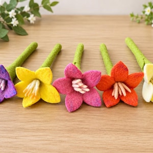 Op de afbeelding: Vijf naaldgevilte bloemen met groene stelen op een rij. De bloemen hebben bloemblaadjes in paars, geel, roze, oranje en crème, elk met een centraal cluster van lichtgekleurde meeldraden. De texturen zien er overal zacht en pluizig uit.