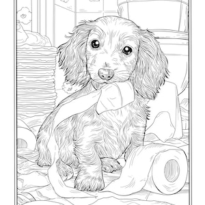 May include: Black and white line art illustration of a long-haired dachshund puppy surrounded by toilet paper. The puppy is sitting amidst the rolls and paper, with a piece of paper in its mouth. The background includes a stack of towels and a bathroom setting.