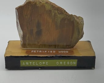 Antelope Oregon Petrified Wood Fossil Slice Polished Vintage Display Specimen