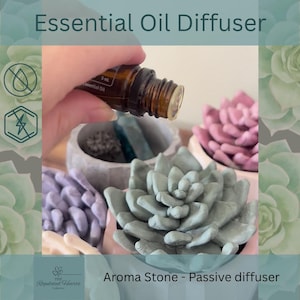 May include: A passive essential oil diffuser featuring a grey concrete bowl containing a green succulent-shaped aroma stone. A small amber glass bottle is positioned above the stone. The text Essential Oil Diffuser and Aroma Stone - Passive diffuser are visible.