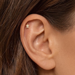 May include: A small gold-toned ear stud shaped like a sea turtle, featuring a polished metal finish and tiny clear stones embedded along the shell. The jewellery is positioned in the upper cartilage area of the ear, showcasing a detailed animal design.