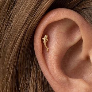 Peut inclure: Une petite boucle d'oreille dorée en forme de requin, présentant une surface texturée et des nageoires détaillées. La boucle d'oreille est placée dans la zone du cartilage supérieur de l'oreille, avec une finition métallique et un corps fin.