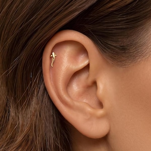 May include: A small, polished gold-tone earring shaped like a shark, positioned in the upper cartilage area of an ear. The earring features a smooth, minimalist design with a curved tail and distinct fin details, reflecting a bright metallic finish.
