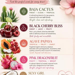 May include: A promotional graphic for Irie Candle Co. car vent diffusers featuring five scent options: Baja Cactus, Black Cherry Bliss, Agave Papaya, Pink Dragonfruit, and Sexy Girl. Each scent is illustrated with fruit and floral imagery.