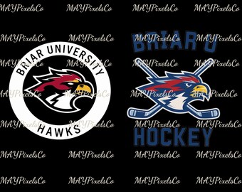 Briar University Hawks Hockey Team Png, Campus Hockey Png, Hockey Romance Png, Di Laurentis 66 and Graham 44 Tee Digital Download