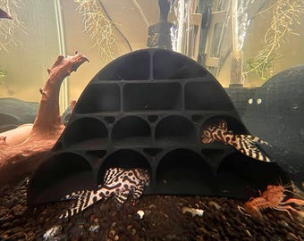 Pleco Breeding Cave Log Condo