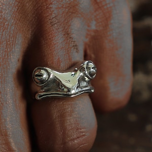 Könnte beinhalten: Ein silberner Froschring mit detaillierten Merkmalen, getragen an einem Finger.