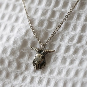 May include: A silver chain necklace with a detailed silver pendant shaped like a bull's head.
