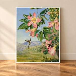 Marianne north - Etsy 日本
