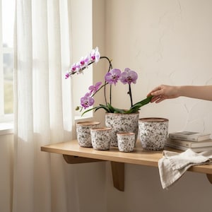 Könnte beinhalten: Ein Set aus vier zylindrischen Keramik-Pflanzgefäßen mit weißer Basis, dunkelgrauem Blumenmuster und einem Rand in Terrakotta-Farbe. Eine Orchidee mit violett-weiß gestreiften Blütenblättern steht im größten Gefäß.