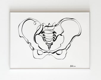 女性骨盤、女性解剖学アート、女性ボディプリント、骨盤骨線画、助産師への贈り物、