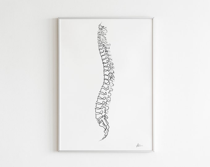 Lumbar Spine Vertebra | Line Vertebrae Human Anatomy Minimal Abstract ...