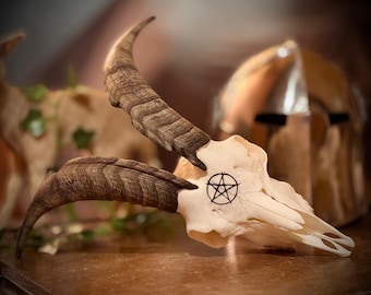 Real Goat Skull Wall Decor Engraved – Pentagram Skull, Gothic Home Decor, Hunter Gift, Rustic Cabin, Man Cave Wall Art