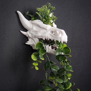 May include: A white dragon skull-shaped wall planter with green plants. The planter features horns, teeth, and eye sockets. Trailing green foliage spills from the dragon's mouth, creating a unique decorative piece for the home.