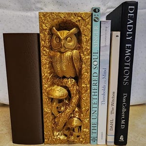 Boka Nook de Búho Gótico | Inserto de Estantería de Calaveras y Setas | Ämnesalibros Decoración Dark Academia | Escultura Bosque Místico