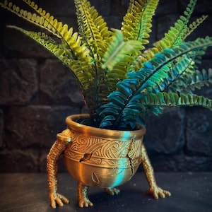 May include: A gold-colored, decorative plant pot with a cauldron design, featuring intricate patterns and small legs. The pot holds a vibrant green and blue fern. The pot has a crack on the side. The background is a dark stone wall.