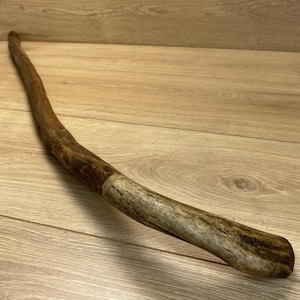 May include: A long, curved wooden walking stick with a natural, textured brown bark finish. The wood features a distinct, lighter-colored, smooth section near the bottom end, showcasing the organic grain and irregular shape of the branch.