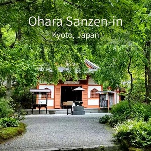 以下が含まれることがあります： 京都、日本の大原三千院の穏やかな風景。オレンジと白のアクセントが施された伝統的な日本の寺院が、緑豊かな木々に囲まれています。「大原三千院 京都、日本」の文字が上部に表示されています。