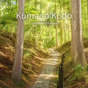 Puede incluir: Un sendero de piedra serpentea a través de un exuberante bosque verde, con altos árboles a los lados. El texto "Kumano Kodo Sacred Paths of Japan" se muestra en blanco en la parte superior de la imagen. El camino es de piedra y parece desgastado.