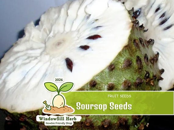 35 Soursop Guanabana Graviola Seeds | Heirloom Tropical Fruit Planting