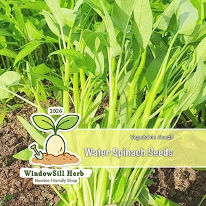 american meadows wildflower seeds Wet Meadow Wildflower Seed Mix