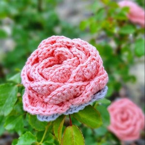 Peut inclure: Une rose au crochet faite à la main, rose et grise. La fleur est fabriquée avec des motifs de points détaillés, imitant une vraie rose. La rose au crochet est placée sur un fond de feuilles vertes et d'autres roses roses floues.