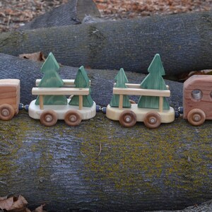 Christmas Tree Train Redwood Pine image 7