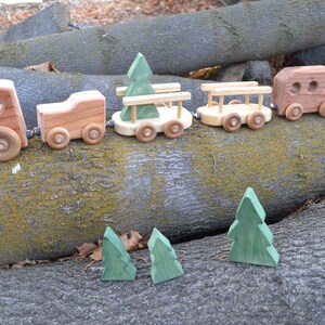 Christmas Tree Train Redwood Pine image 8