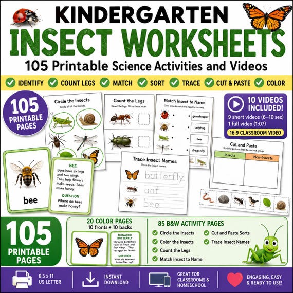 Insect Worksheets for Kids | Bug Activities Kindergarten | Entomology Unit Study Printables