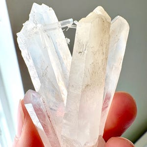 May include: A cluster of clear quartz crystals with a variety of shapes and sizes. The crystals are held in a hand, showcasing their natural, translucent appearance. Some crystals have a slight beige hue.
